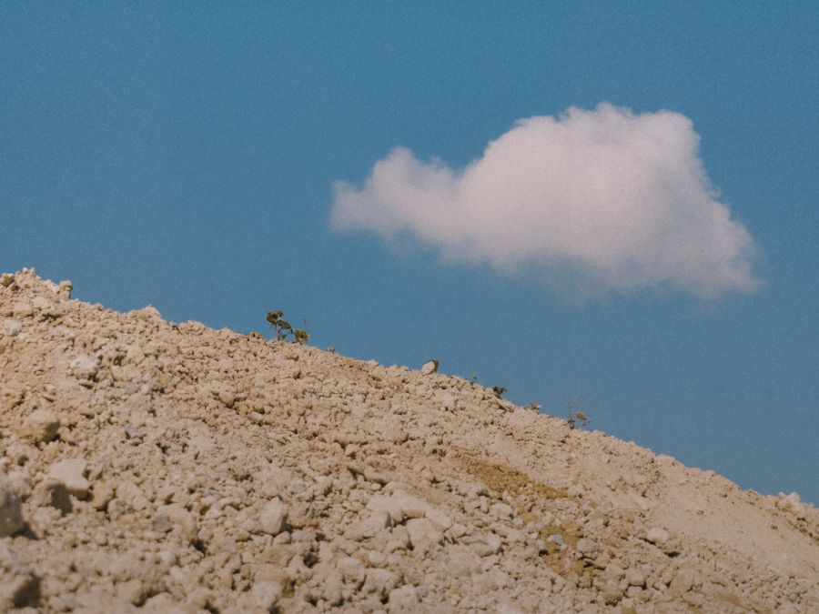 Women T-shirts and polo shirts