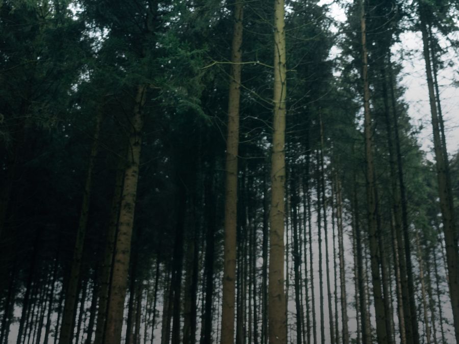 Women Functional tops