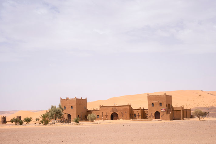 Brown building with palm trees in a desert
